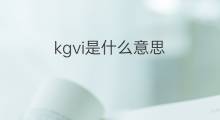 kgvi是什么意思 kgvi的中文翻译、读音、例句