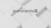 prominentia是什么意思 prominentia的中文翻译、读音、例句