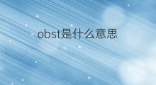 obst是什么意思 obst的中文翻译、读音、例句