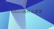 toluca是什么意思 toluca的中文翻译、读音、例句