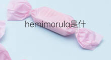 hemimorula是什么意思 hemimorula的中文翻译、读音、例句