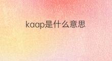 kaap是什么意思 kaap的中文翻译、读音、例句