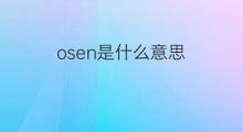 osen是什么意思 osen的中文翻译、读音、例句