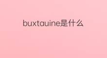 buxtauine是什么意思 buxtauine的中文翻译、读音、例句