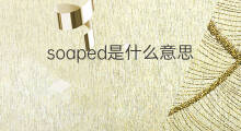 soaped是什么意思 soaped的中文翻译、读音、例句