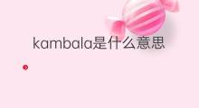 kambala是什么意思 kambala的中文翻译、读音、例句