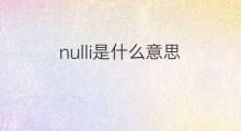 nulli是什么意思 nulli的中文翻译、读音、例句