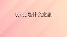 terbo是什么意思 terbo的中文翻译、读音、例句