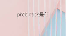 prebiotics是什么意思 prebiotics的中文翻译、读音、例句