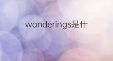 wanderings是什么意思 wanderings的中文翻译、读音、例句