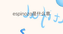 espinoza是什么意思 espinoza的中文翻译、读音、例句