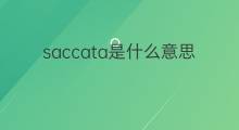 saccata是什么意思 saccata的中文翻译、读音、例句