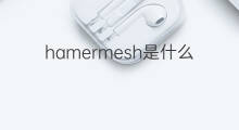 hamermesh是什么意思 hamermesh的中文翻译、读音、例句