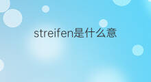streifen是什么意思 streifen的中文翻译、读音、例句