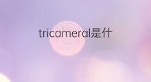 tricameral是什么意思 tricameral的中文翻译、读音、例句