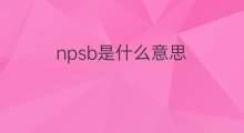 npsb是什么意思 npsb的中文翻译、读音、例句