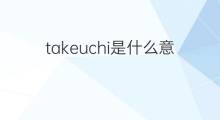 takeuchi是什么意思 takeuchi的中文翻译、读音、例句