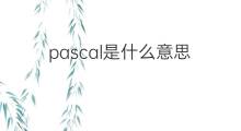 pascal是什么意思 pascal的中文翻译、读音、例句