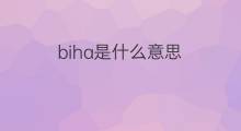 biha是什么意思 biha的中文翻译、读音、例句