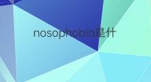 nosophobia是什么意思 nosophobia的中文翻译、读音、例句