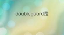 doubleguard是什么意思 doubleguard的中文翻译、读音、例句
