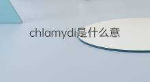 chlamydi是什么意思 chlamydi的中文翻译、读音、例句