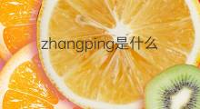 zhangping是什么意思 zhangping的中文翻译、读音、例句