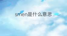 smen是什么意思 smen的中文翻译、读音、例句