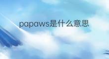 papaws是什么意思 papaws的中文翻译、读音、例句