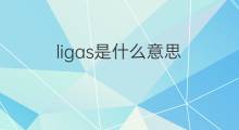 ligas是什么意思 ligas的中文翻译、读音、例句