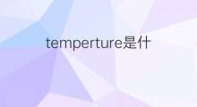 temperture是什么意思 temperture的中文翻译、读音、例句