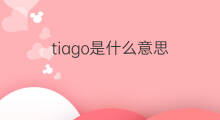 tiago是什么意思 tiago的中文翻译、读音、例句