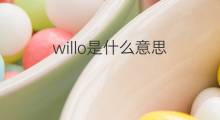 willo是什么意思 willo的中文翻译、读音、例句