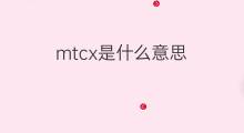mtcx是什么意思 mtcx的中文翻译、读音、例句