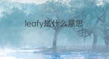 leafy是什么意思 leafy的中文翻译、读音、例句
