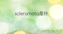scleromata是什么意思 scleromata的中文翻译、读音、例句