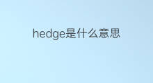 hedge是什么意思 hedge的中文翻译、读音、例句
