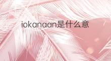 iokanaan是什么意思 iokanaan的中文翻译、读音、例句