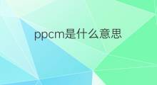 ppcm是什么意思 ppcm的中文翻译、读音、例句