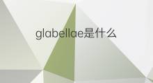 glabellae是什么意思 glabellae的中文翻译、读音、例句