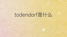todendorf是什么意思 todendorf的中文翻译、读音、例句