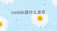 nadide是什么意思 nadide的中文翻译、读音、例句