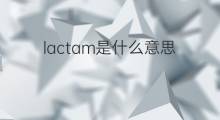 lactam是什么意思 lactam的中文翻译、读音、例句
