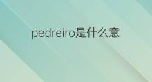 pedreiro是什么意思 pedreiro的中文翻译、读音、例句