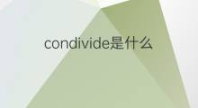 condivide是什么意思 condivide的中文翻译、读音、例句