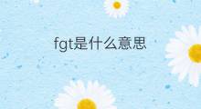 fgt是什么意思 fgt的中文翻译、读音、例句