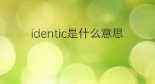 identic是什么意思 identic的中文翻译、读音、例句