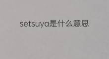 setsuya是什么意思 setsuya的中文翻译、读音、例句