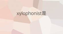 xylophonist是什么意思 xylophonist的中文翻译、读音、例句