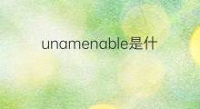unamenable是什么意思 unamenable的中文翻译、读音、例句